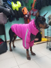 Foto №2. Kleidung für Hunde und Katzen in Russische Föderation. Price - 40€. Ankündigung № 8462 