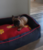 Foto №2 zu Ankündigung № 45916 zu verkaufen französische bulldogge - einkaufen Finnland quotient 	ankündigung