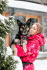Foto №2 zu Ankündigung № 96529 zu verkaufen mischlingshund - einkaufen Russische Föderation aus dem tierheim