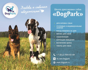 Foto №1. Service des Hundeführer in der Stadt St. Petersburg. Price - 9€. Ankündigung № 3634