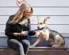 Foto №1. mischlingshund - zum Verkauf in der Stadt St. Petersburg | Frei | Ankündigung № 10404