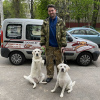 Foto №1. Dienstleistungen für die Lieferung und den Transport von Katzen und Hunden in der Stadt Minsk. Ankündigung № 9411