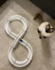 Foto №2 zu Ankündigung № 102886 zu verkaufen ragdoll-katze - einkaufen USA quotient 	ankündigung