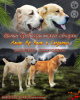 Zusätzliche Fotos: Welpen des zentralasiatischen Schäferhundes