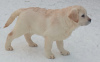 Zusätzliche Fotos: Labrador-Welpen
