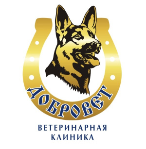 Foto №1. Tierärztliche Dienste in der Stadt Tscheljabinsk. Price - verhandelt. Ankündigung № 5821