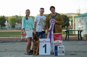 Foto №2 zu Ankündigung № 1299 zu verkaufen deutscher schäferhund - einkaufen Russische Föderation vom kindergarten