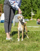 Foto №1.  - zum Verkauf in der Stadt Tscheboksary | 573€ | Ankündigung № 9180