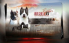 Foto №1. amerikanischer staffordshire terrier - zum Verkauf in der Stadt Ниш | verhandelt | Ankündigung № 94224