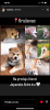 Foto №3. Japanese Akita puppies. Serbien