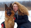 Foto №4. Ich werde verkaufen deutscher schäferhund in der Stadt Kharkov. züchter - preis - 500€