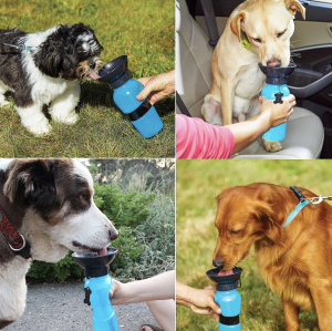 Foto №3. Trinkschale für Hunde in Russische Föderation