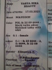 Foto №2 zu Ankündigung № 54419 zu verkaufen maine-coon-katze - einkaufen Weißrussland quotient 	ankündigung, vom kindergarten, züchter