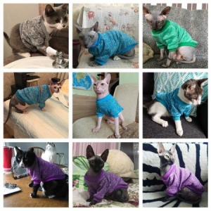 Foto №2. Kleidung für Hunde und Katzen in Russische Föderation. Price - 8€. Ankündigung № 1174 