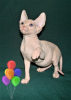 Foto №2 zu Ankündigung № 43642 zu verkaufen sphynx cat - einkaufen USA vom kindergarten, züchter