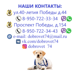 Foto №4. Tierarzt in Russische Föderation. Ankündigung № 5821