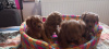 Foto №3. Cavapoo Pappy F1 Generation. Serbien