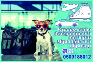 Foto №1. Tierärztliche Dienste in der Stadt Kharkov. Price - verhandelt. Ankündigung № 5053