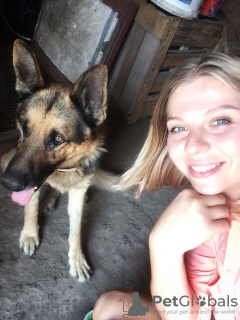 Zusätzliche Fotos: Tierarzt zu Hause in Kharkov