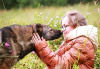 Foto №2 zu Ankündigung № 8645 zu verkaufen mischlingshund - einkaufen Russische Föderation quotient 	ankündigung