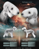 Foto №2 zu Ankündigung № 106821 zu verkaufen bedlington terrier - einkaufen Russische Föderation quotient 	ankündigung