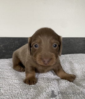 Foto №3. Registrierung im KC-Ministerium für Privatkunden. Deutschland