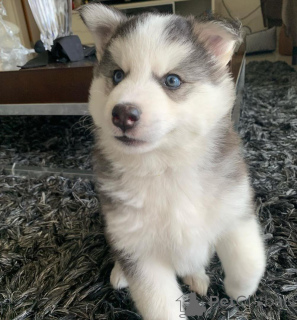 Foto №1.  - zum Verkauf in der Stadt Vienna | Frei | Ankündigung № 138608