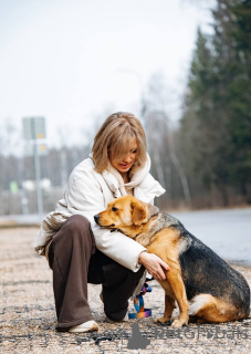 Foto №2 zu Ankündigung № 139188 zu verkaufen mischlingshund - einkaufen Russische Föderation 