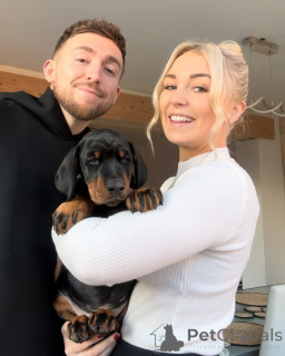 Foto №2 zu Ankündigung № 140569 zu verkaufen  - einkaufen Deutschland 