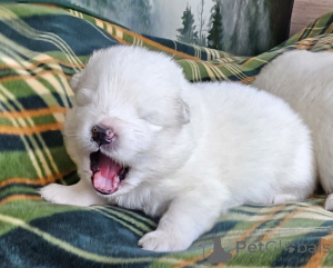 Foto №3. Jacek Widlarz. Polen