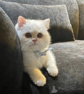 Foto №1.  - zum Verkauf in der Stadt Edmundston | verhandelt | Ankündigung № 161689