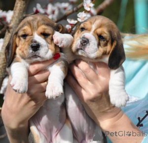 Foto №1.  - zum Verkauf in der Stadt Augsburg | verhandelt | Ankündigung № 161257