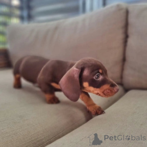 Foto №4. Ich werde verkaufen  in der Stadt Barrie.  - preis - Frei