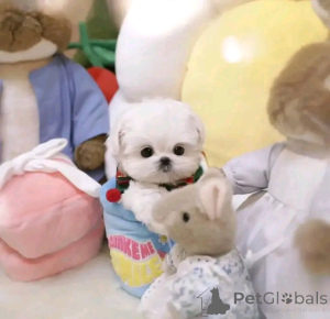 Foto №1.  - zum Verkauf in der Stadt Calgary | verhandelt | Ankündigung № 161935