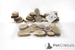 Foto №3. Hirndimensionshorn des Nordhirsches und der Elch. Russische Föderation