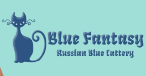Foto №1. russisch blau - zum Verkauf in der Stadt Moskau | 865€ | Ankündigung № 4623