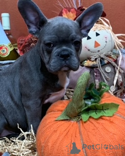 Foto №1.  - zum Verkauf in der Stadt Мадрид | Frei | Ankündigung № 138602