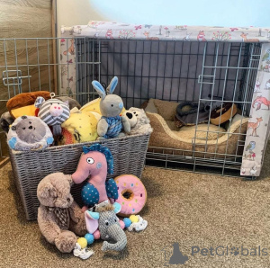 Foto №2 zu Ankündigung № 161686 zu verkaufen  - einkaufen Belgien 