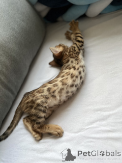 Foto №3. Yaroslav Korzhov. Deutschland