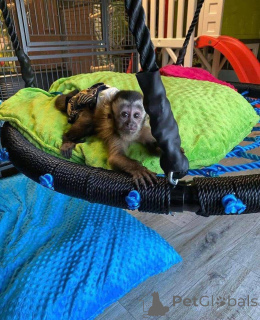 Foto №1.  - zum Verkauf in der Stadt Coventry | verhandelt | Ankündigung № 161362