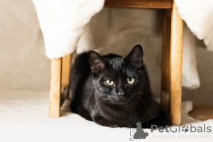 Foto №3. Kosmischer Mond. Weißrussland