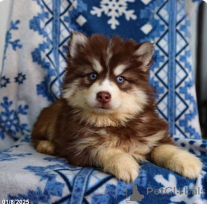 Foto №1.  - zum Verkauf in der Stadt Stadt von London | verhandelt | Ankündigung № 161255