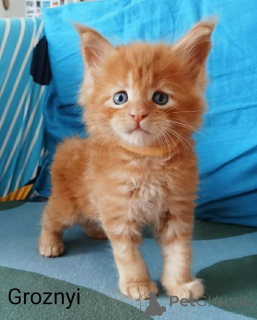 Foto №3. Natalja Galitsina. Finnland