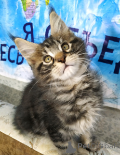 Foto №3. Es werden verkaufte Main-Kun-Steine verkauft. Russische Föderation