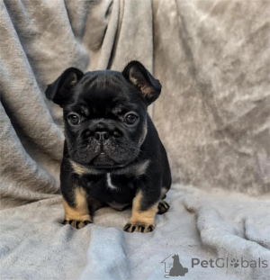 Foto №1.  - zum Verkauf in der Stadt Erkrath | 350€ | Ankündigung № 154317