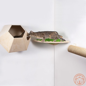 Foto №2. Möbel für Hunde und Katzen in Russische Föderation. Price - 119€. Ankündigung № 5277 