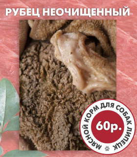 Foto №4. Natürliches Fleischfutter, Innereien in Russische Föderation. Ankündigung № 6516