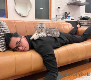 Foto №3. Wir sind so traurig, unseren neuesten Wurf bald in sein neues Zuhause ziehen zu. Deutschland