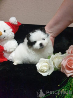 Foto №1.  - zum Verkauf in der Stadt Mayrhofen | verhandelt | Ankündigung № 135192