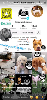 Foto №2. Hotel für Tiere in Vereinigte Arabische Emirate. Price - verhandelt. Ankündigung № 145660